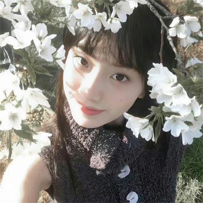 美国派9